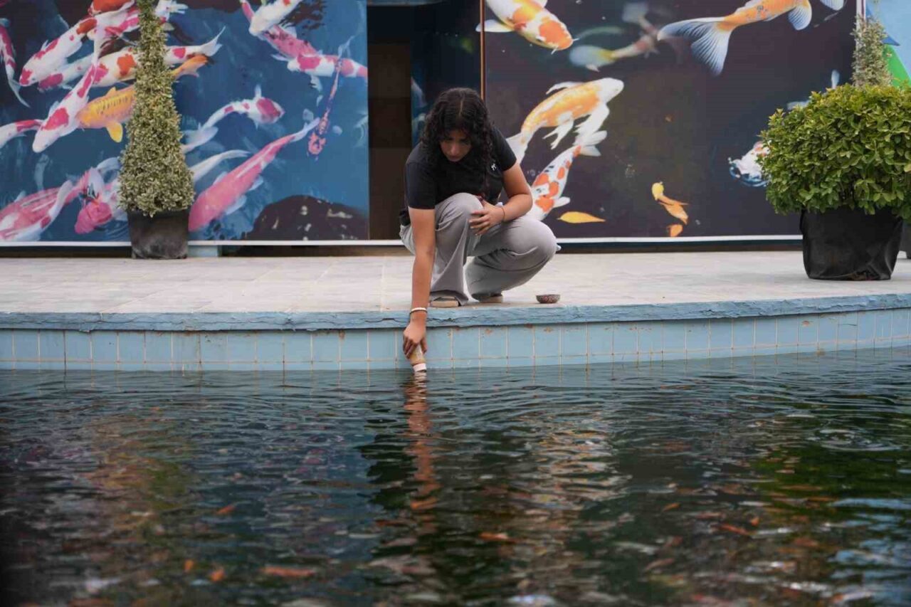 Gaziantep Doğal Yaşam Parkı’nda yeni açılan Tropikal Koi Parkı’ndaki 500