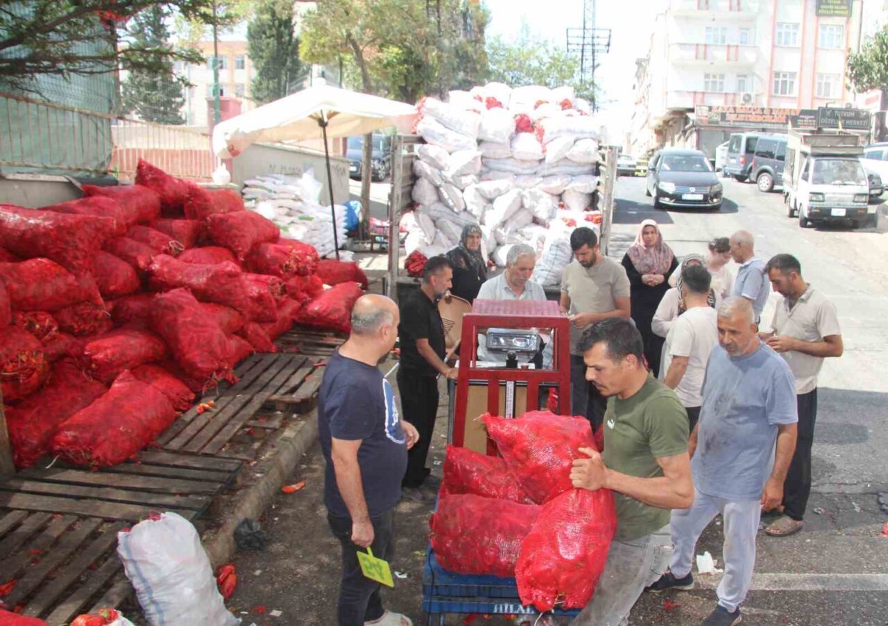 Gaziantep’in geleneksel lezzetlerinden biber salçasının yapım telaşı başladı. Biber çekimi