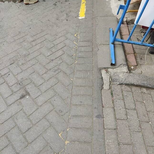 Gaziosmanpaşa’da ağızlığı olmadan gezdirilen pitbull cinsi köpek başka bir köpeğe