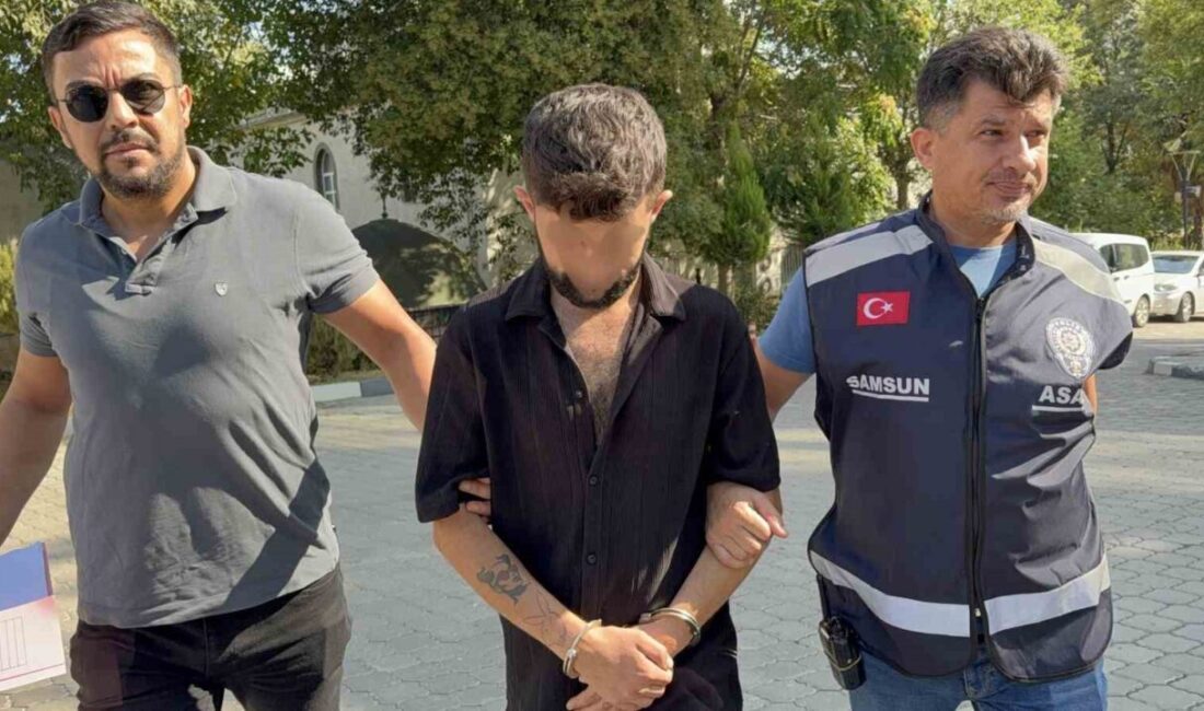 Samsun’da geceleyin park halindeki kamyonun kornasını yerinden sökerek çalan şahıs