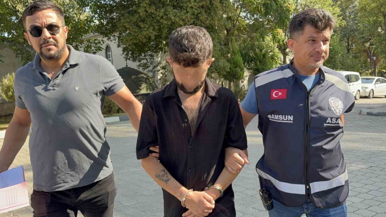 Samsun’da geceleyin park halindeki kamyonun kornasını yerinden sökerek çalan şahıs