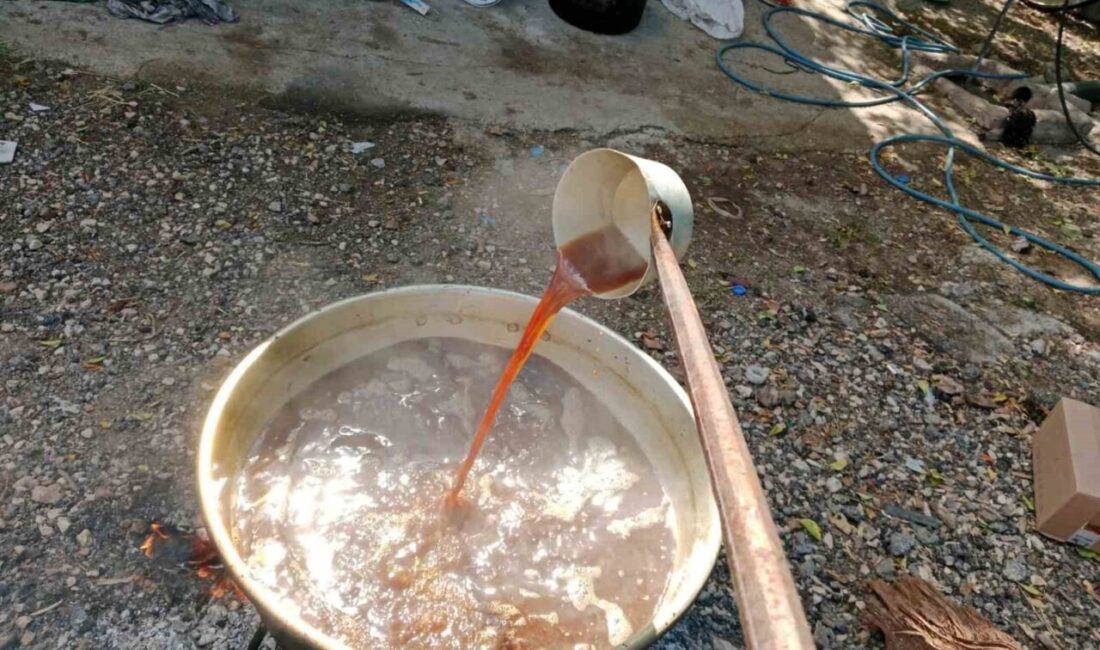 Bağ bozumu sonrası dağ toprağıyla yapılan asırlık pekmez için kazanlar