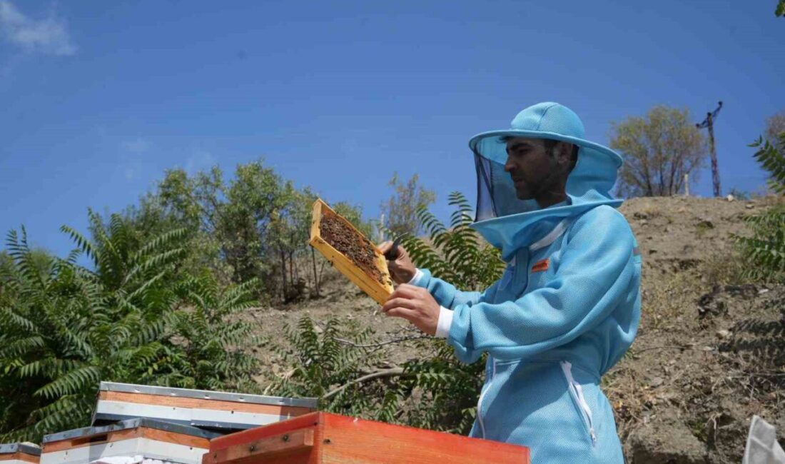 Ankara’da 150 kovanıyla yılda yaklaşık 2 ton bal üretimi yapan