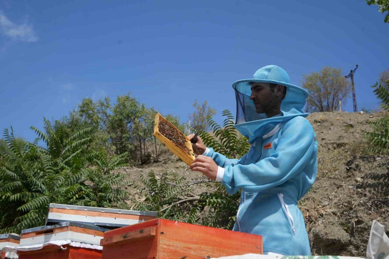 Ankara’da 150 kovanıyla yılda yaklaşık 2 ton bal üretimi yapan