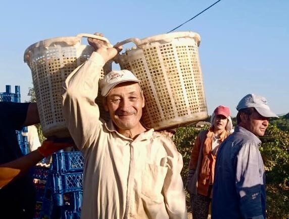Manisa’nın Sarıgöl ilçesine bağlı Karacaali Mahallesi’nde yaşayan 62 yaşındaki Ali