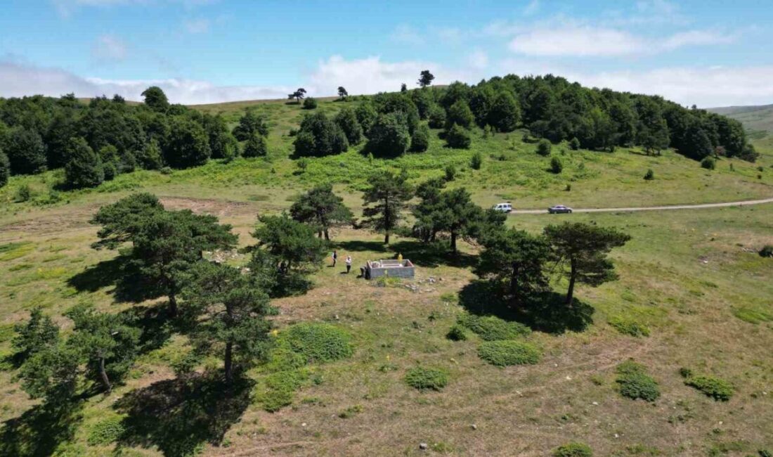 Tokat’ın Reşadiye ilçesindeki ’Yalnız çam türbesinin’ Yavuz Sultan Selim’in Çaldıran