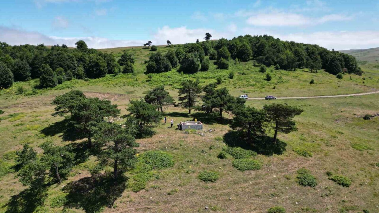 Tokat’ın Reşadiye ilçesindeki ’Yalnız çam türbesinin’ Yavuz Sultan Selim’in Çaldıran