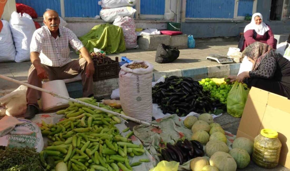 Batman’ın Gercüş ilçesi ile civar köylerinde yetişen sebze ve meyvelerde