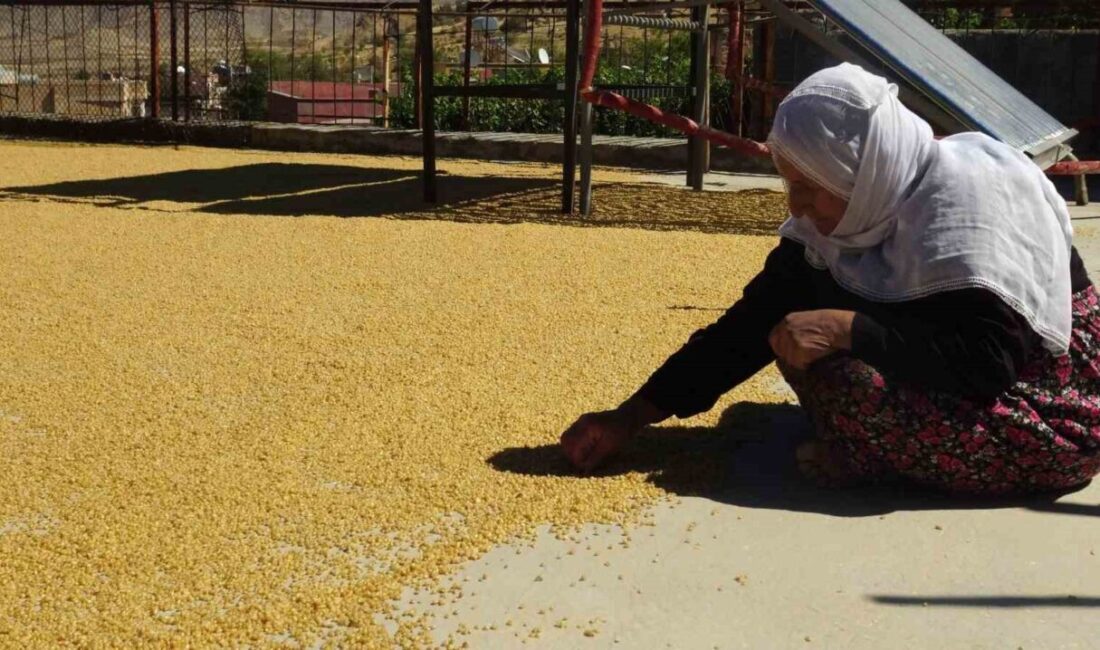 Batman’ın Gercüş ilçesinde yüzyıllardır süregelen bulgur kaynatma geleneği, bugün de