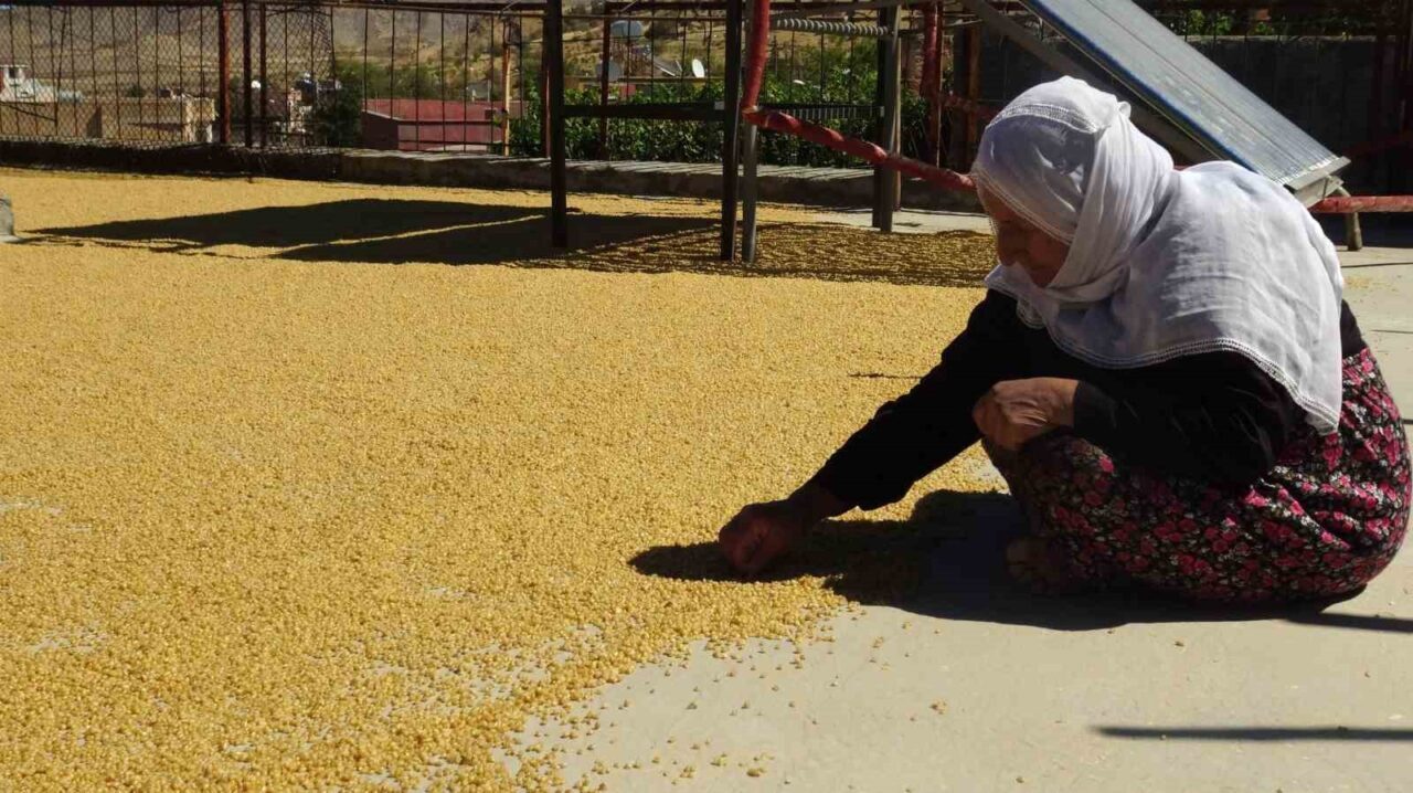 Batman’ın Gercüş ilçesinde yüzyıllardır süregelen bulgur kaynatma geleneği, bugün de