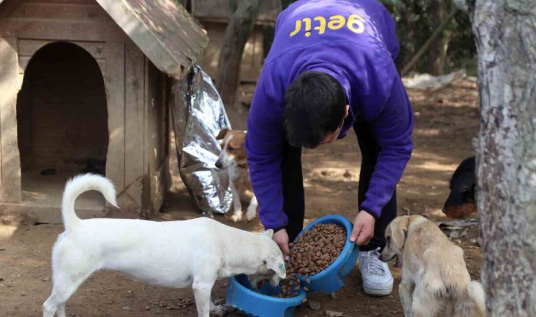 Getir, 4 Ekim Dünya Hayvanları Koruma Günü kapsamında HAYTAP (Hayvan