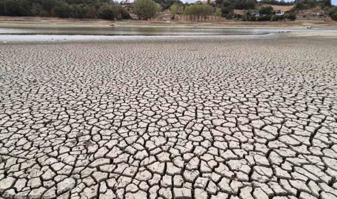 Tekirdağ’da Bıyıkali Göleti’nde kuraklık ve aşırı sıcaklıkların etkisiyle su seviyesi