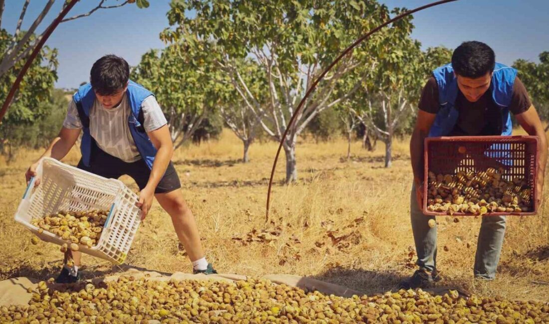Aydın Gençlik ve Spor İl Müdürlüğü’ne bağlı Yenipazar Gençlik Merkezi’ndeki