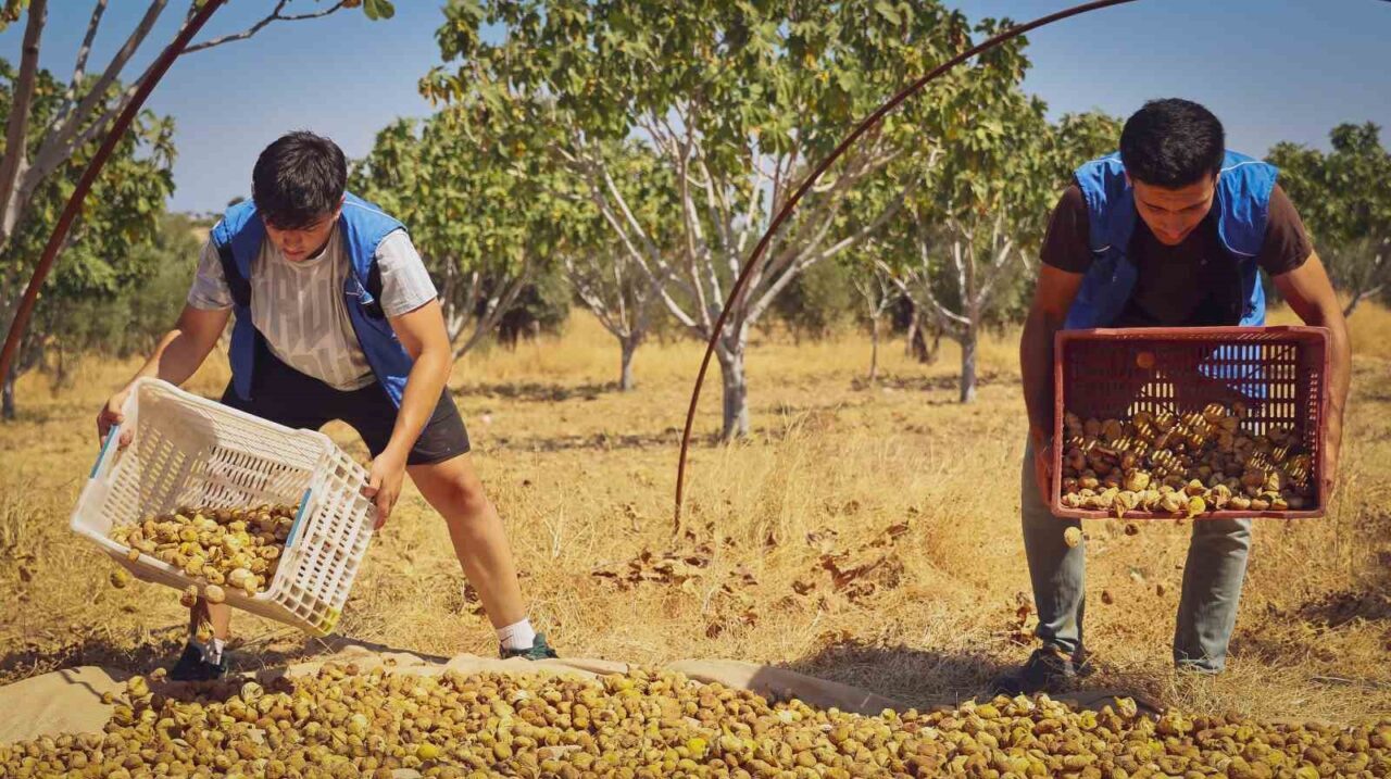 Aydın Gençlik ve Spor İl Müdürlüğü’ne bağlı Yenipazar Gençlik Merkezi’ndeki