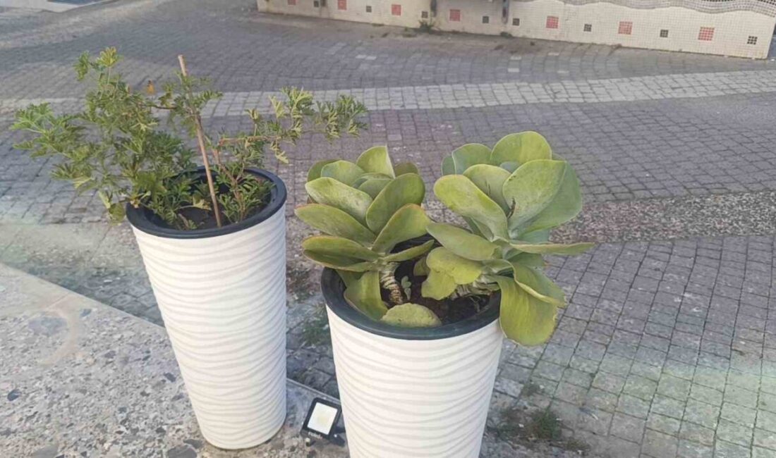Antalya’nın Manavgat ilçesinde yoldan geçen kadın, gözüne kestirdiği saksıda bulunan