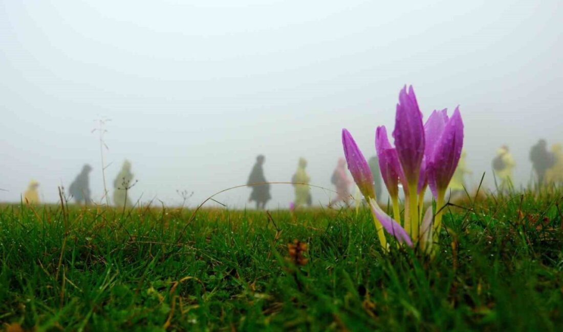 Gümüşhane ve Giresun’dan gelen 130 dağcı, Kürtün ilçesinin doğal güzellikleriyle