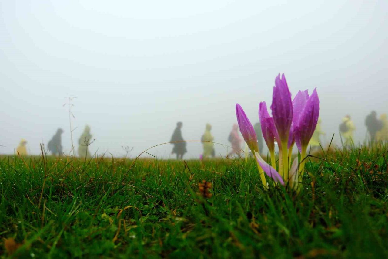 Gümüşhane ve Giresun’dan gelen 130 dağcı, Kürtün ilçesinin doğal güzellikleriyle