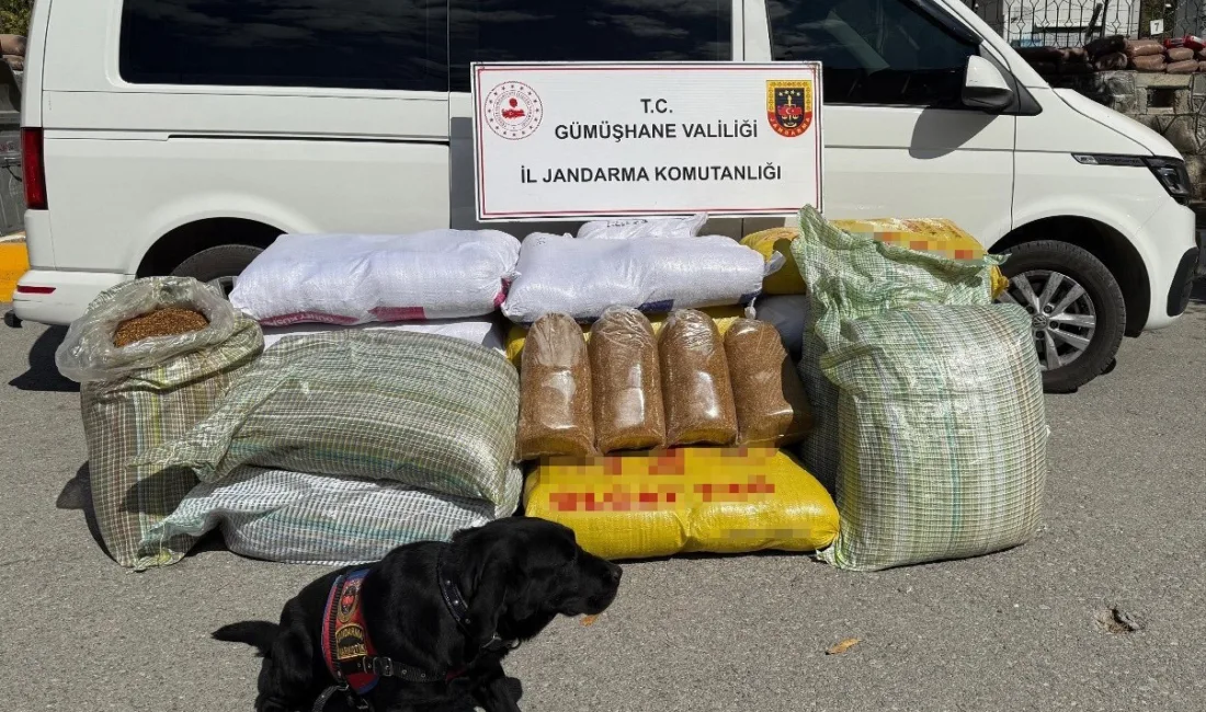 Gümüşhane’nin Torul ilçesinde jandarma ekiplerince gerçekleştirilen operasyonda piyasa değeri 750