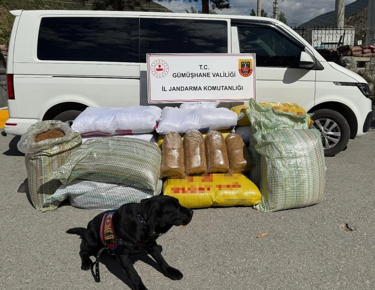 Gümüşhane’nin Torul ilçesinde jandarma ekiplerince gerçekleştirilen operasyonda piyasa değeri 750