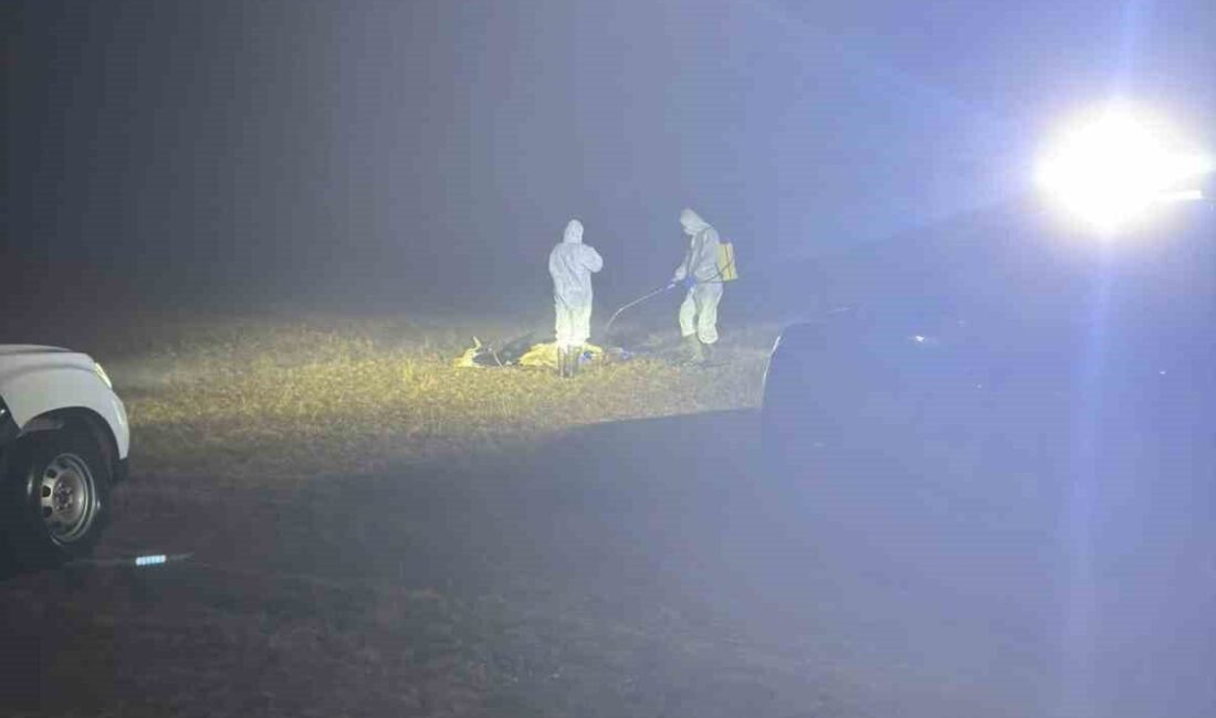 Gümüşhane’de şap hastalığı şüphesi üzerine 5 köyde hayvan hareketleri durduruldu.