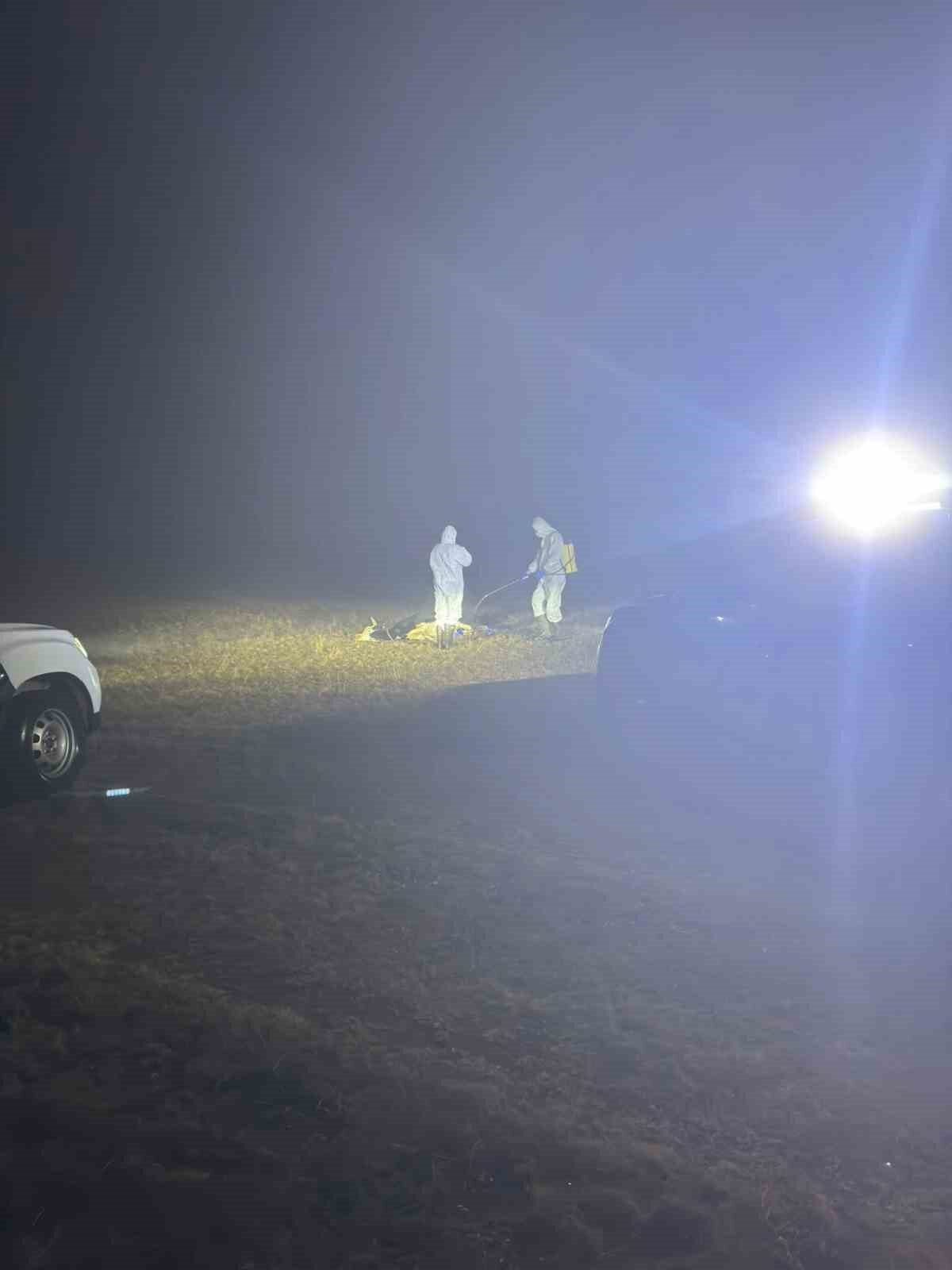 Gümüşhane’de şap hastalığı şüphesi üzerine 5 köyde hayvan hareketleri durduruldu.