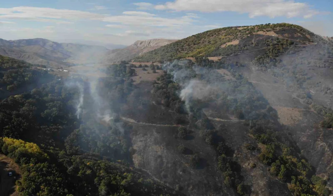 Gümüşhane’nin Kelkit ilçesinde çıkış sebebi henüz belirlenemeyen yangında yaklaşık 30