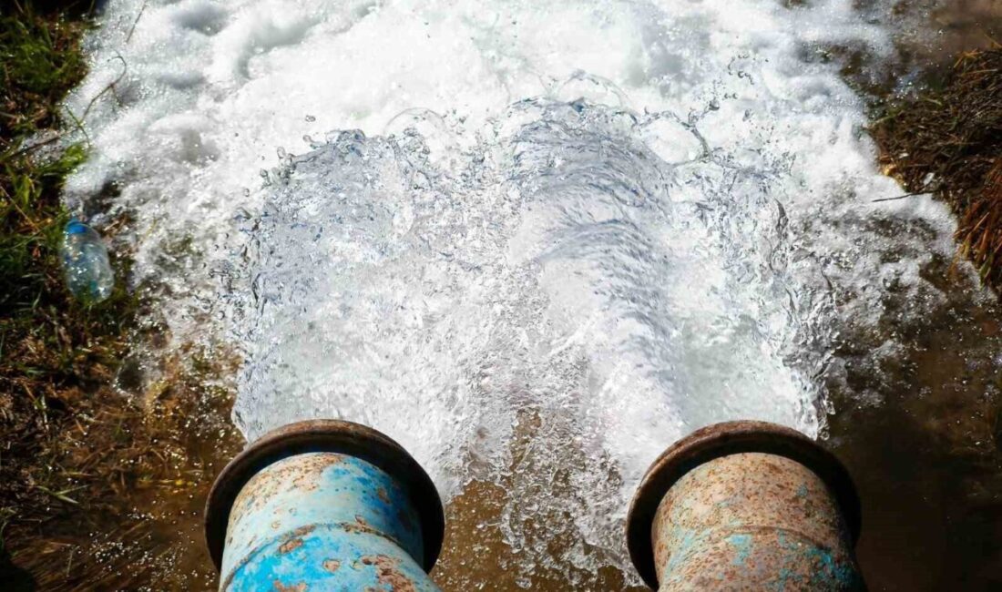 Güneydoğu’da kuraklığa rağmen sürdürülen izinsiz mısır ekimi, bölgedeki enerji sorununu