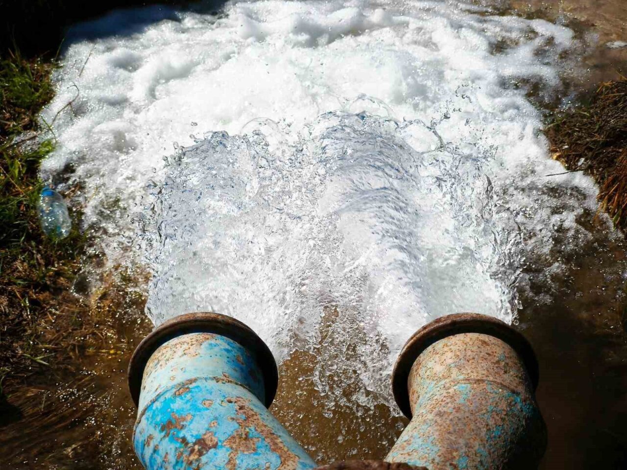 Güneydoğu’da kuraklığa rağmen sürdürülen izinsiz mısır ekimi, bölgedeki enerji sorununu