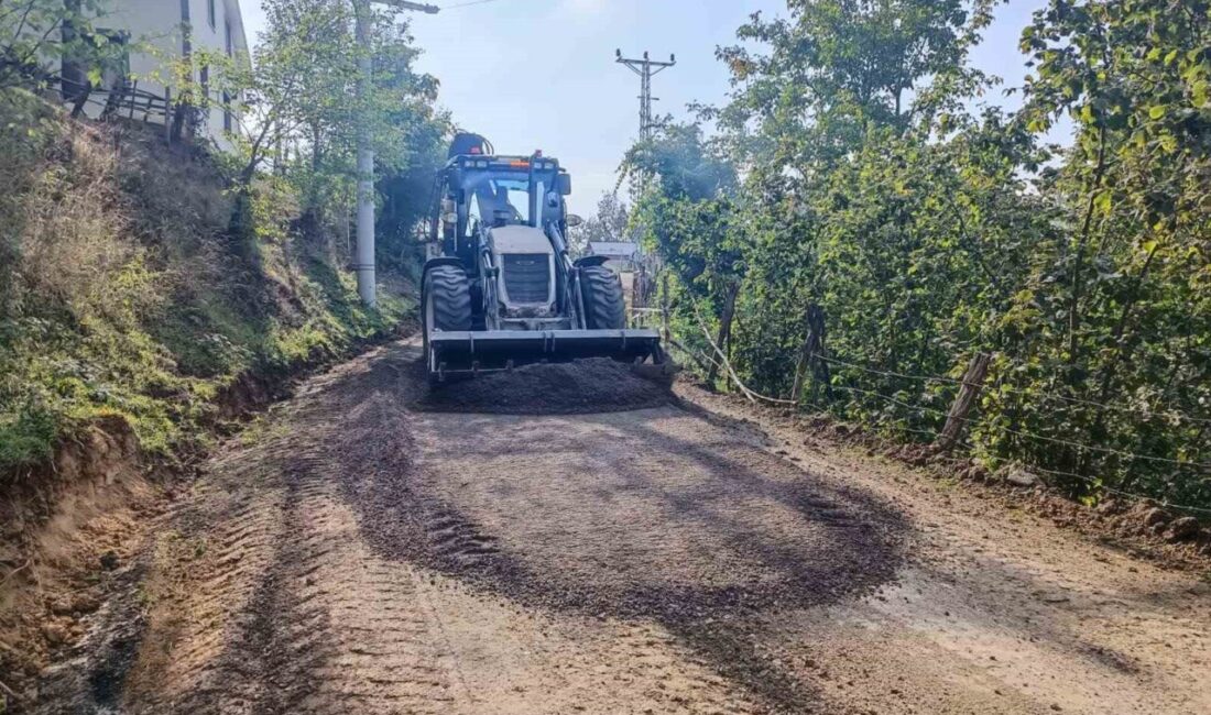 DÜZCE (İHA) – Düzce’de köy yollarında güvenli yolların oluşturulması için