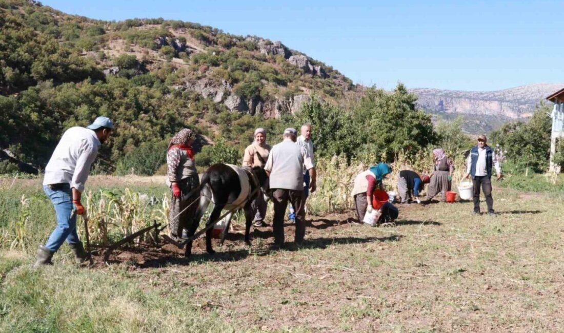 Torosların dik yamaçları üzerine kurulu Konya’nın Hadim ilçesinde, eylül ayının