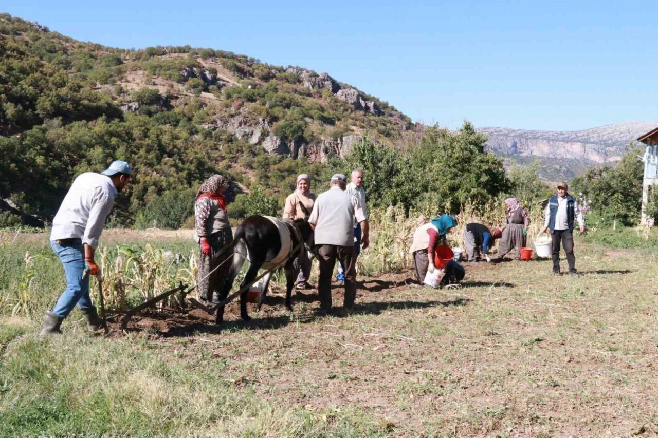 Torosların dik yamaçları üzerine kurulu Konya’nın Hadim ilçesinde, eylül ayının
