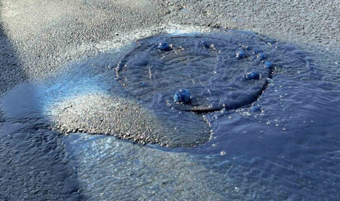 İstanbul’un Arnavutköy ilçesi Hadımköy Mahallesi’nde bulunan 75. Yıl Caddesi’nde, İSKİ’ye