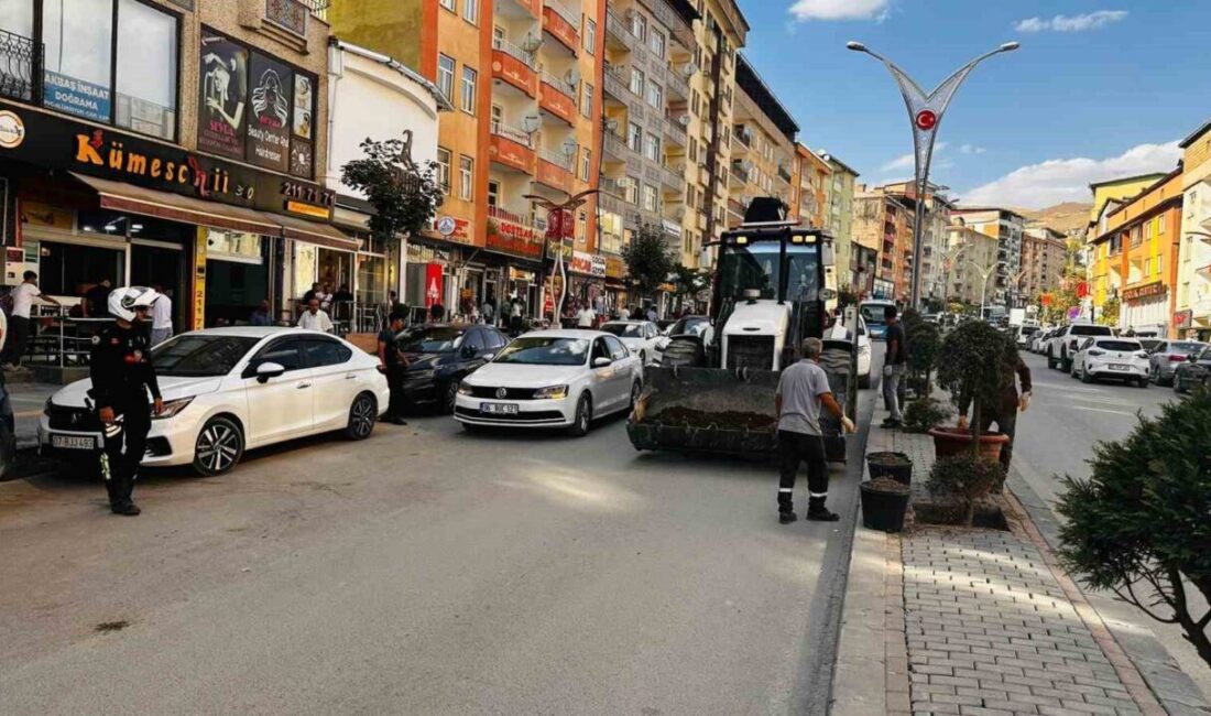 Hakkari’de yeşillendirme çalışmaları devam ederken, kentin geneline 235 adet ağaç