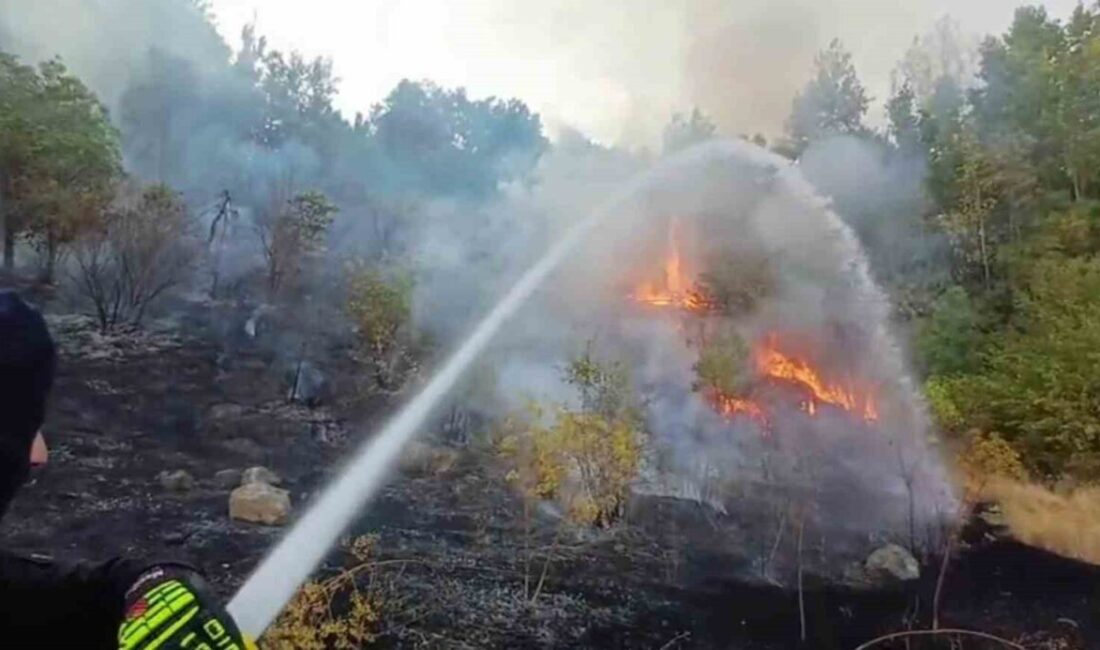 Hakkari’de 3 farklı bölgede çıkan yangın, itfaiye ekiplerinin mücadelesiyle büyümeden