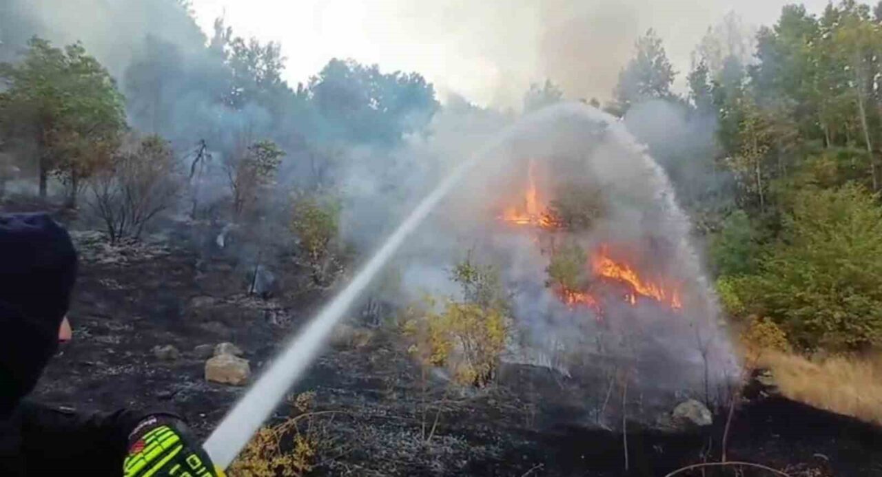 Hakkari’de 3 farklı bölgede çıkan yangın, itfaiye ekiplerinin mücadelesiyle büyümeden
