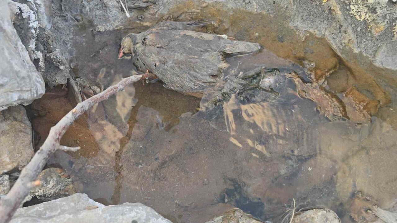 Hakkâri’nin Akbulut köyüne bağlı Demirli mezrasında yer altından çıkan gizemli