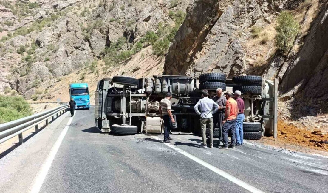 Hakkari-Çukurca yolunda maden yüklü bir kamyonun devrilmesi sonucu sürücü hafif
