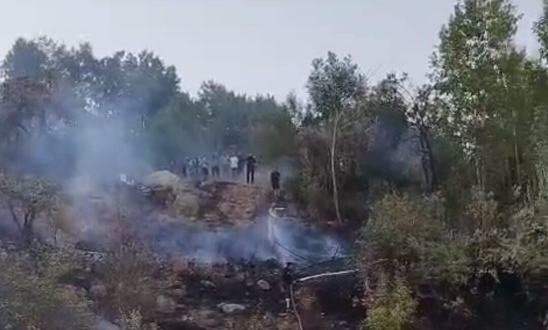 Hakkari’de ormanlık alanda çıkan yangın, itfaiye ve Orman İşletme Müdürlüğü