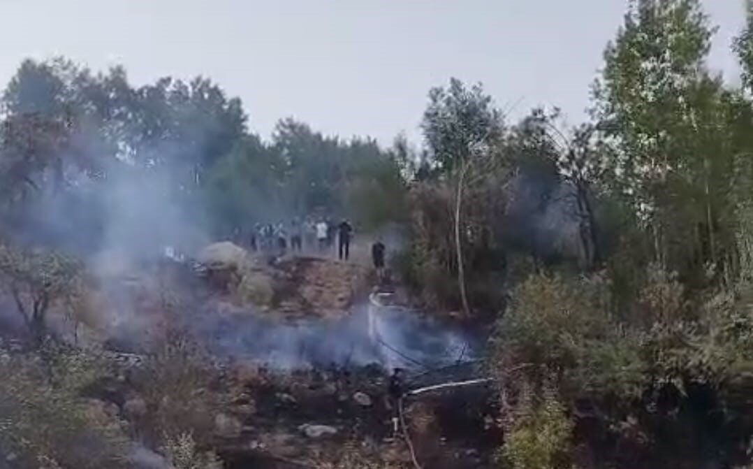 Hakkari’de ormanlık alanda çıkan yangın, itfaiye ve Orman İşletme Müdürlüğü