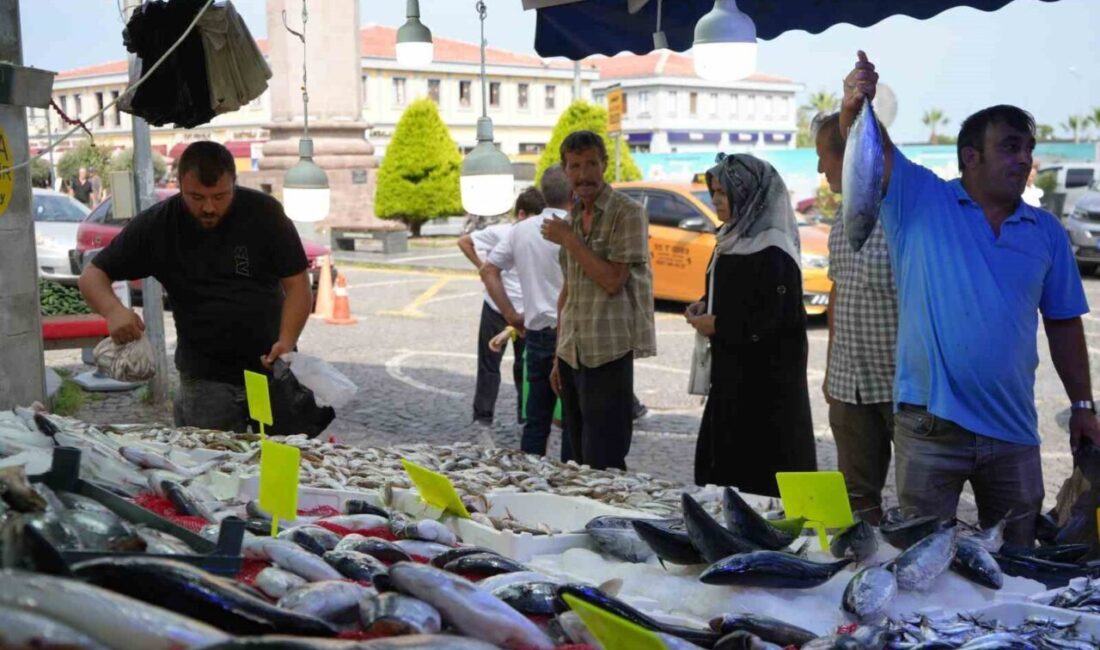 Karadeniz’de sıcak seyreden deniz suyunun soğumasını bekleyen balıkçılar, hamsinin yolunu