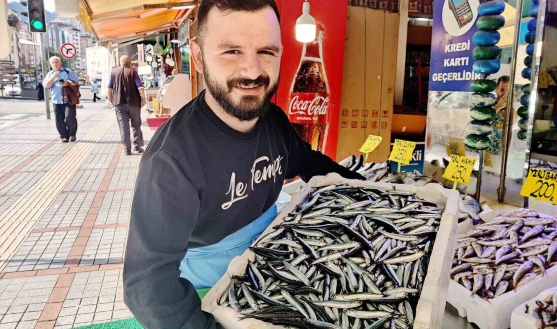 Rize’de ilk yerli hamsinin kilosu balıkçı tezgahlarında 200 TL’den satışa