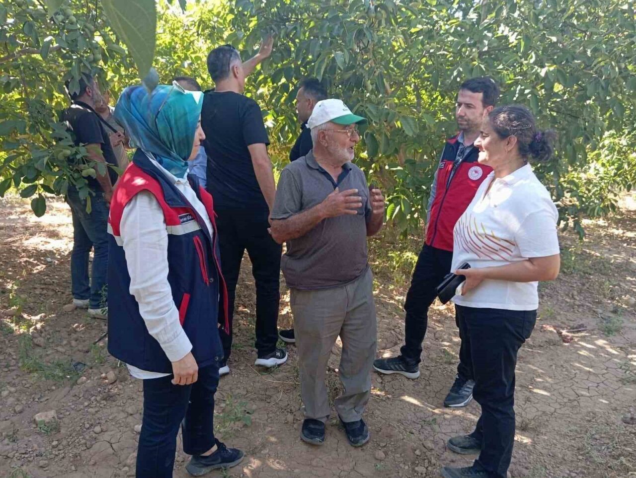 Ceviziyle meşhur Afyonkarahisar’ın Dinar ilçesine bağlı Yapağlı köyünde hasat öncesinde