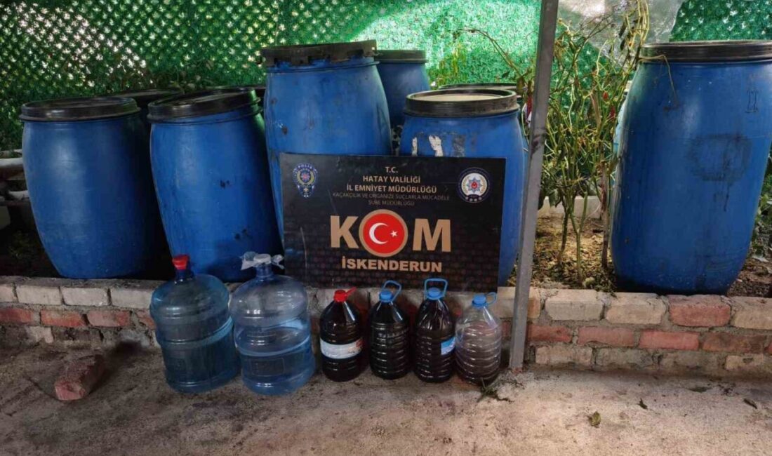 Hatay’ın Arsuz ilçesinde belirlenen 1 adreste yapılan aramada bin 250