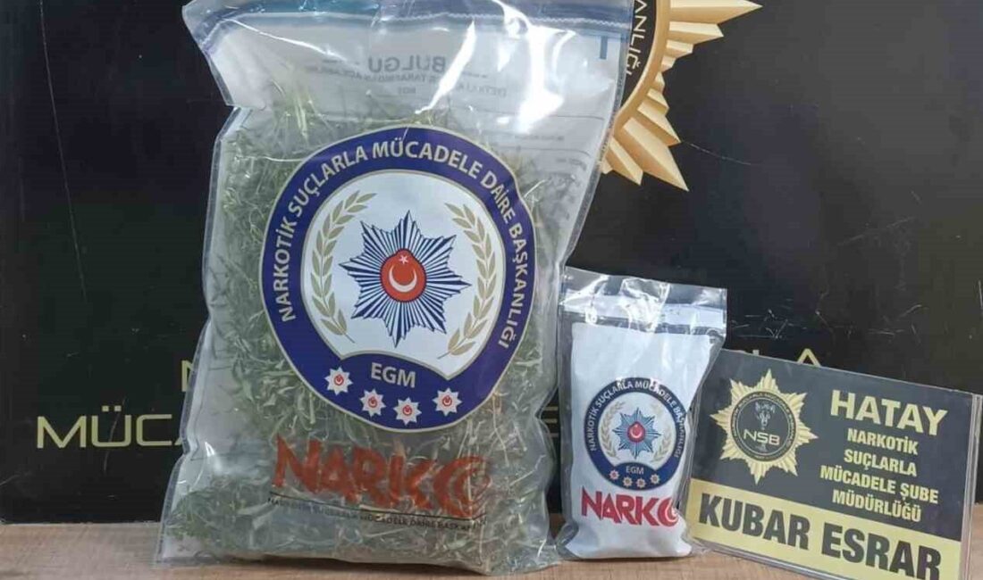 Hatay’da gerçekleştirilen uyuşturucu operasyonlarında 15 kişi gözaltına alındı, çok sayıda