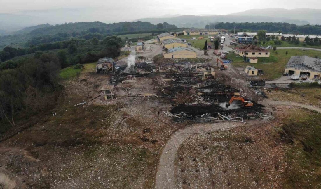 Sakarya’nın Hendek ilçesinde 7 kişinin hayatını kaybettiği, 127 kişinin yaralandığı