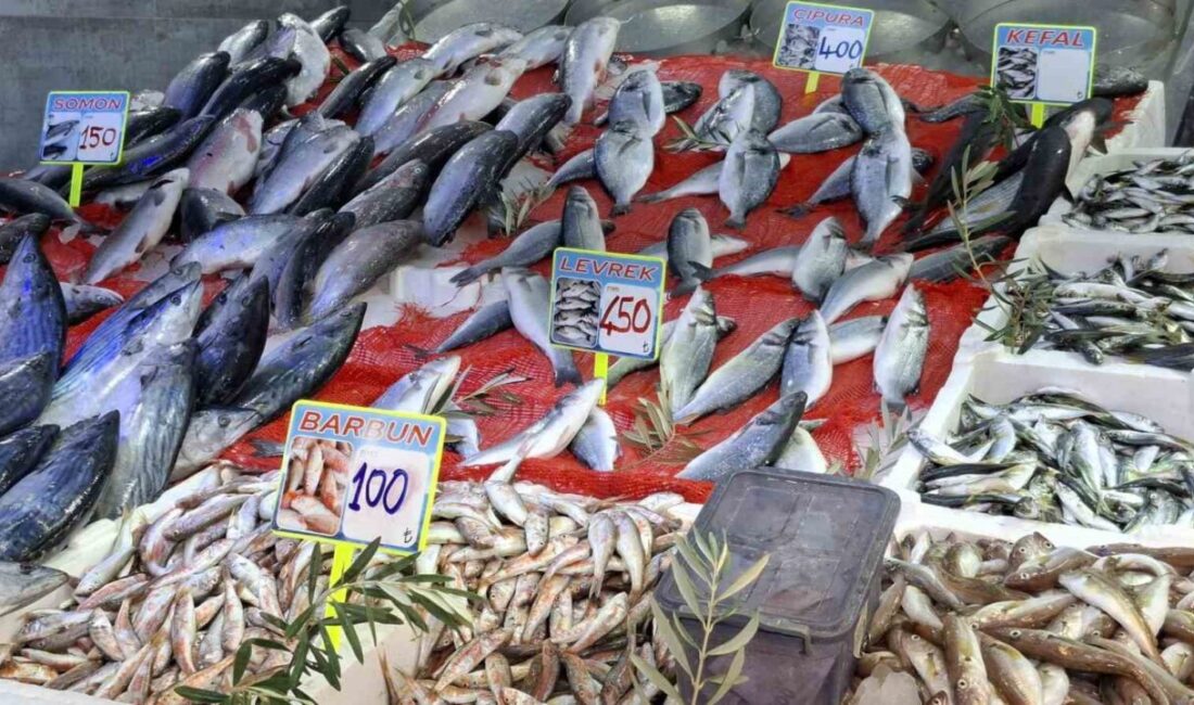 Av sezonunun bereketli başlamasıyla Samsun’da balık tezgâhları şenlendi. Hamsinin bol