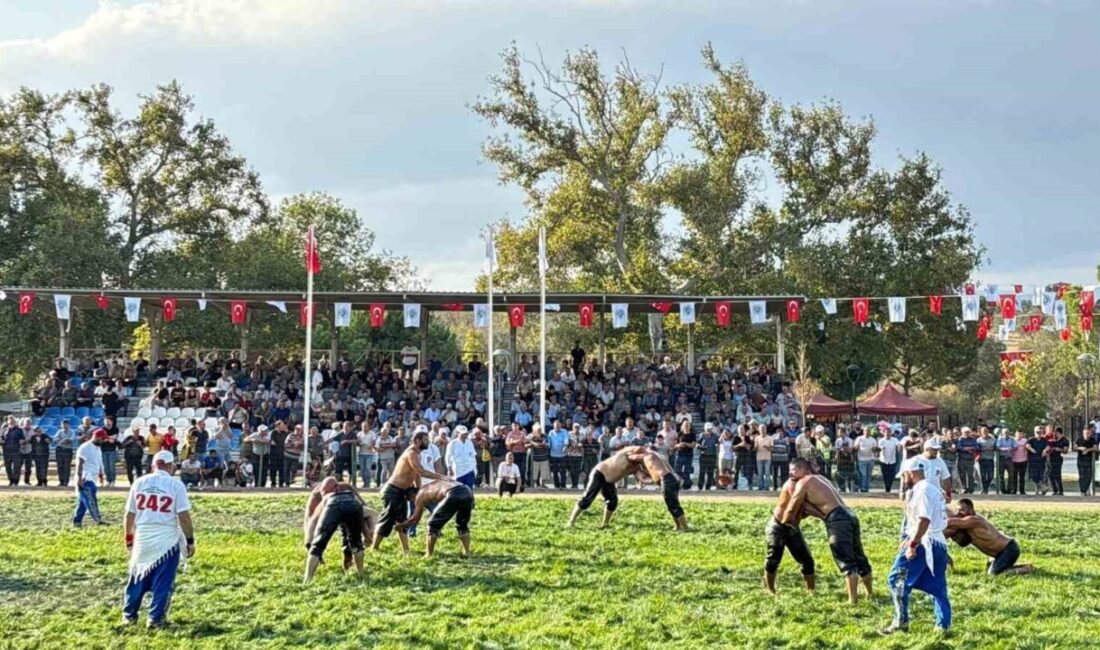 Balıkesir’in Havran ilçesinde düzenlenen Geleneksel Seyitonbaşı Yağlı Güreşleri, pehlivanların ve