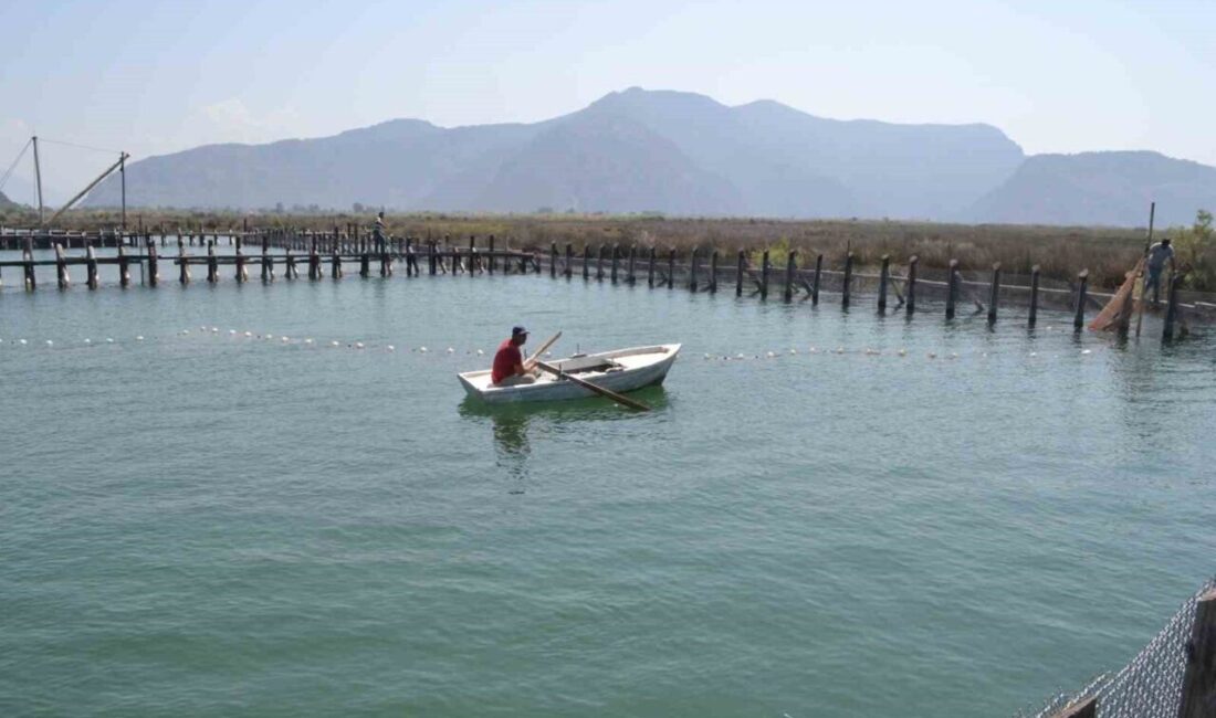 Temmuz ayında jandarma tarafından yapılan operasyonla gündeme gelen DALKO (Dalyan