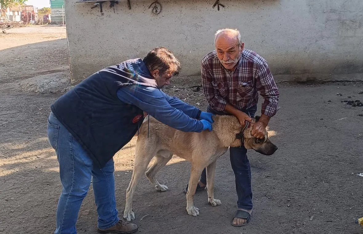 Tekirdağ’ın Hayrabolu ilçesinde, kedi ve köpekler için kimliklendirme çalışması başlatıldı.