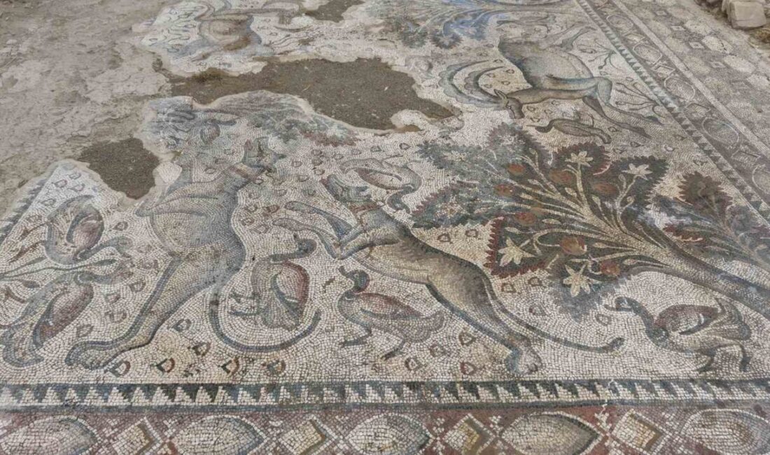 Elazığ’ın Salkaya Köyü’nde fidan dikerken tesadüfen bulunan bin 700 yıllık